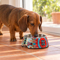 Plato Melamina Motivo Redondo Multicolor Talla S Perro Mascan en uso
