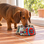 Plato Melamina Motivo Redondo Multicolor Talla S Perro Mascan en uso