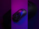 Kit Gamer Teclado + Mouse Nova Series + Mousepad XXL LEVO