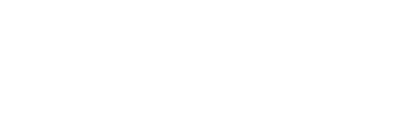 LEVO